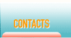 CONTACTS